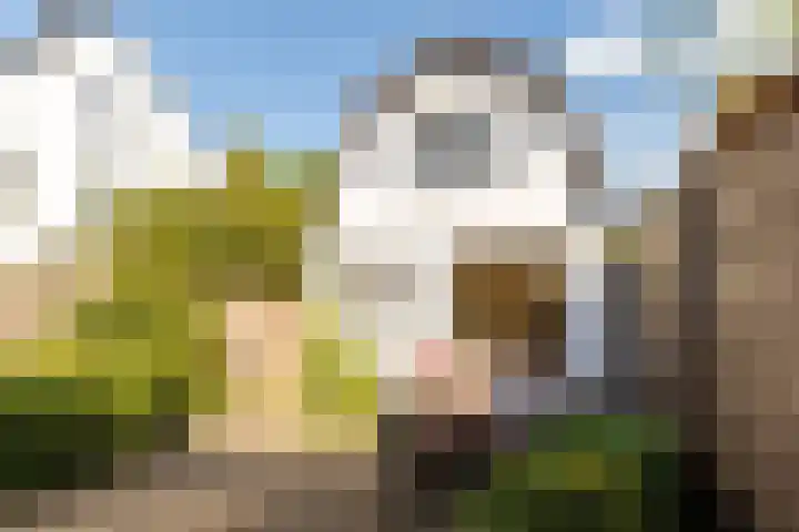 Badhuisweg 11 Ermelo thumbnail 26