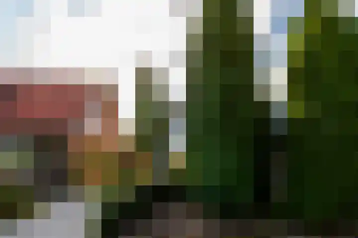 Badhuisweg 11 Ermelo thumbnail 31