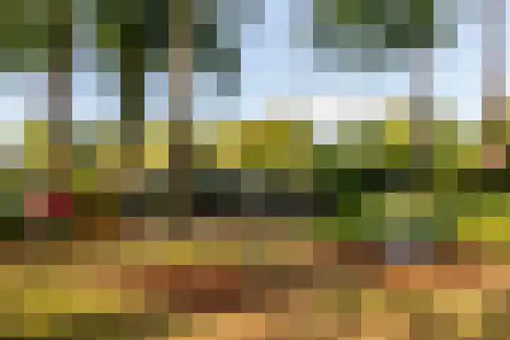 Badhuisweg 11 Ermelo thumbnail 34