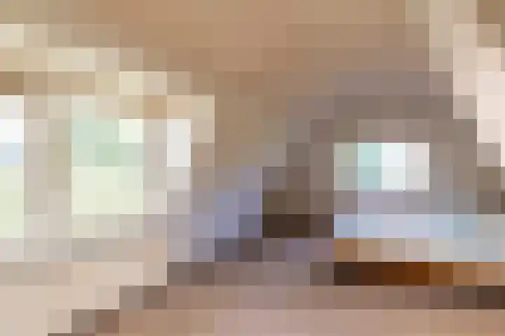 Badhuisweg 11 Ermelo thumbnail 4