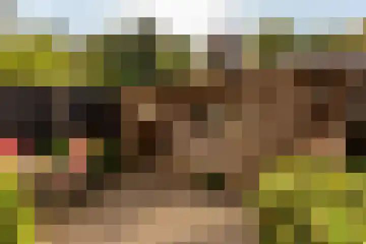 Badhuisweg 11 Ermelo thumbnail 5