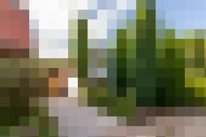Badhuisweg 11 Ermelo thumbnail 7