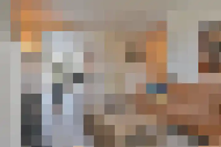 Badhuisweg 11 Exloo thumbnail 15