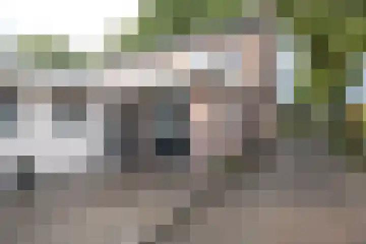 Badhuisweg 11 Exloo thumbnail 45