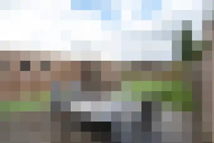 Badhuisweg 11 Exloo thumbnail 51