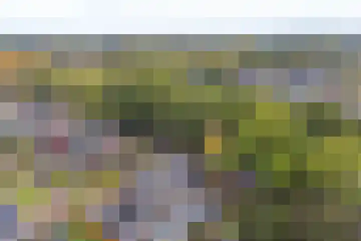 Badhuisweg 11 Exloo thumbnail 56