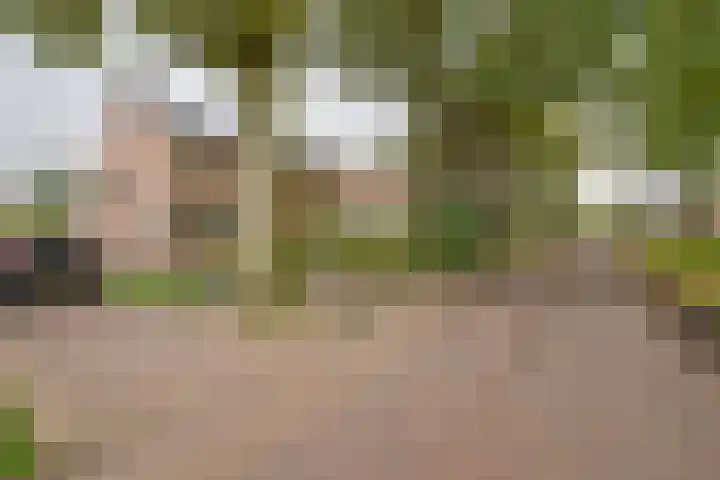 Badhuisweg 11 Exloo thumbnail 6