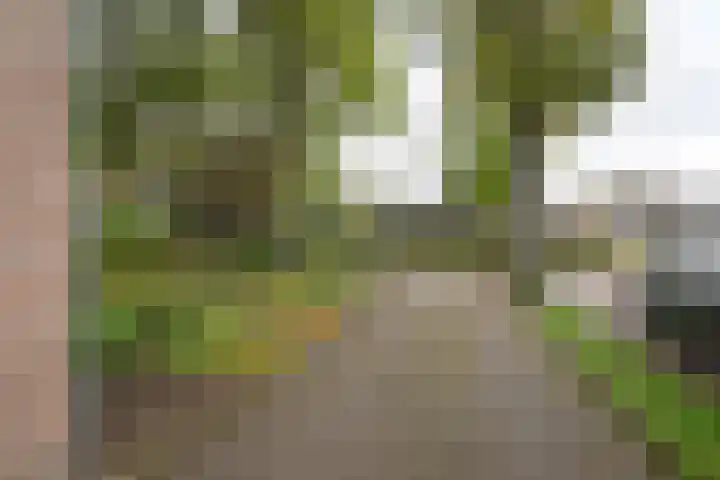 Badhuisweg 11 Exloo thumbnail 7