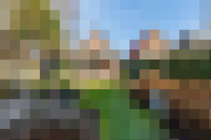 Badhuisweg 127 Apeldoorn thumbnail 32