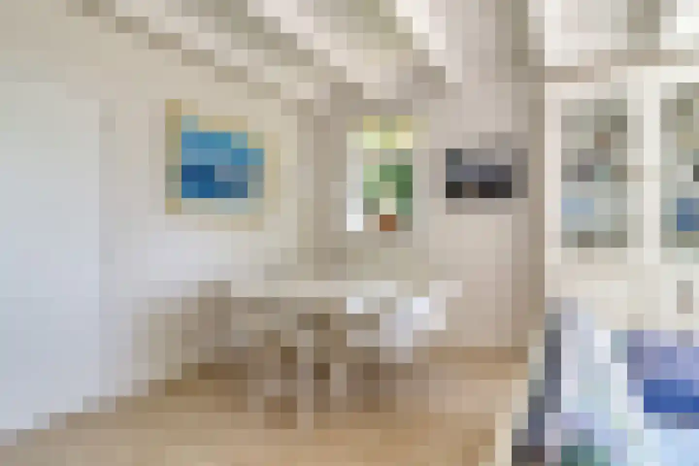 Badhuisweg 15 Cadzand thumbnail 11