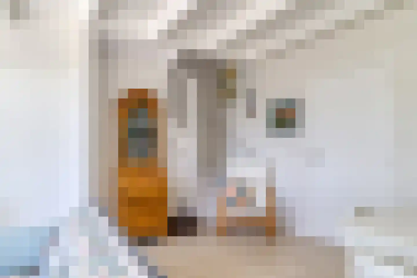 Badhuisweg 15 Cadzand thumbnail 12