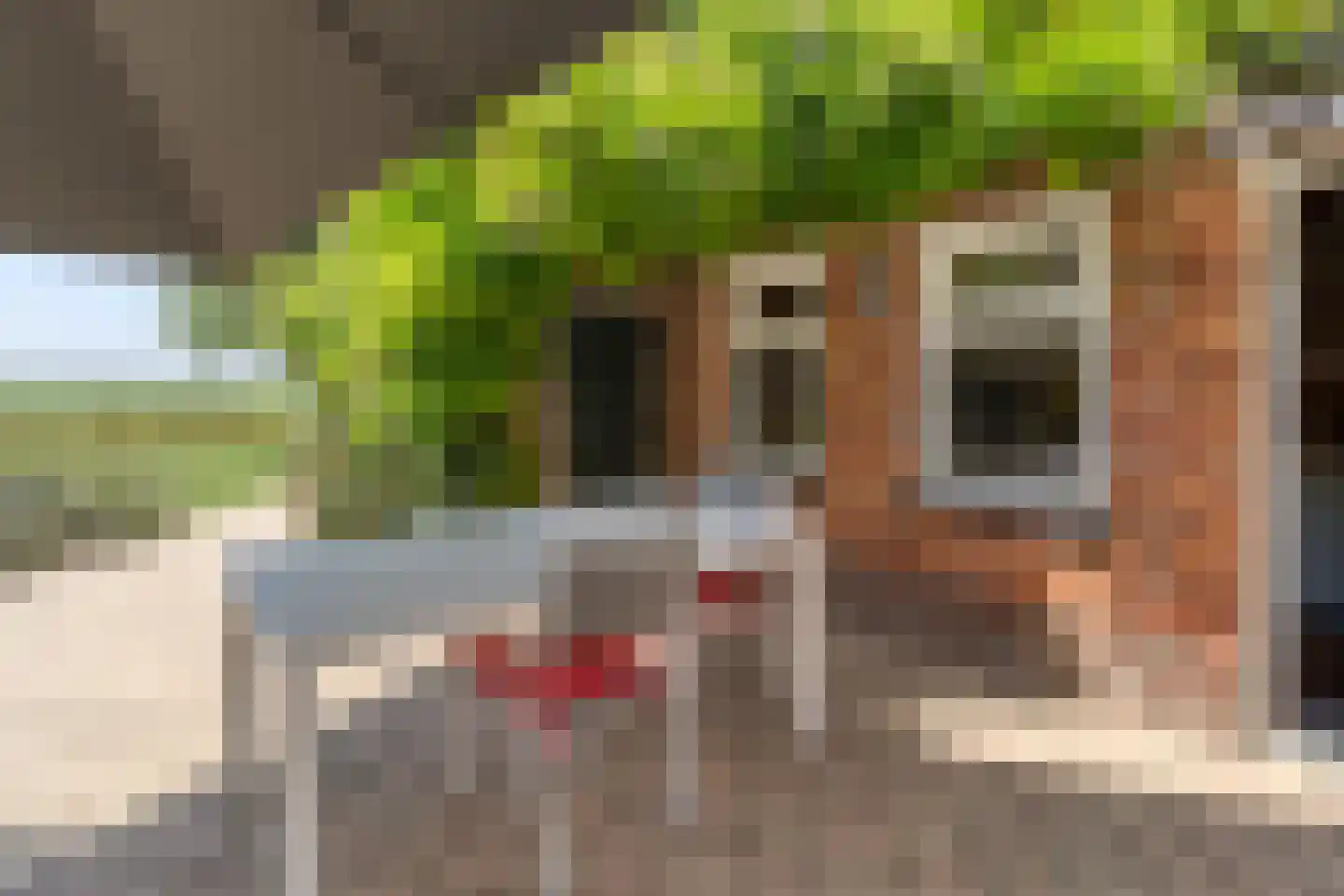 Badhuisweg 15 Cadzand thumbnail 5