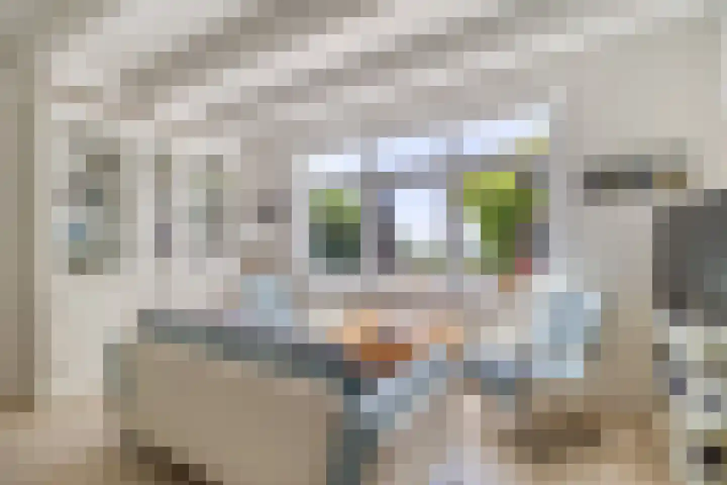 Badhuisweg 15 Cadzand thumbnail 8