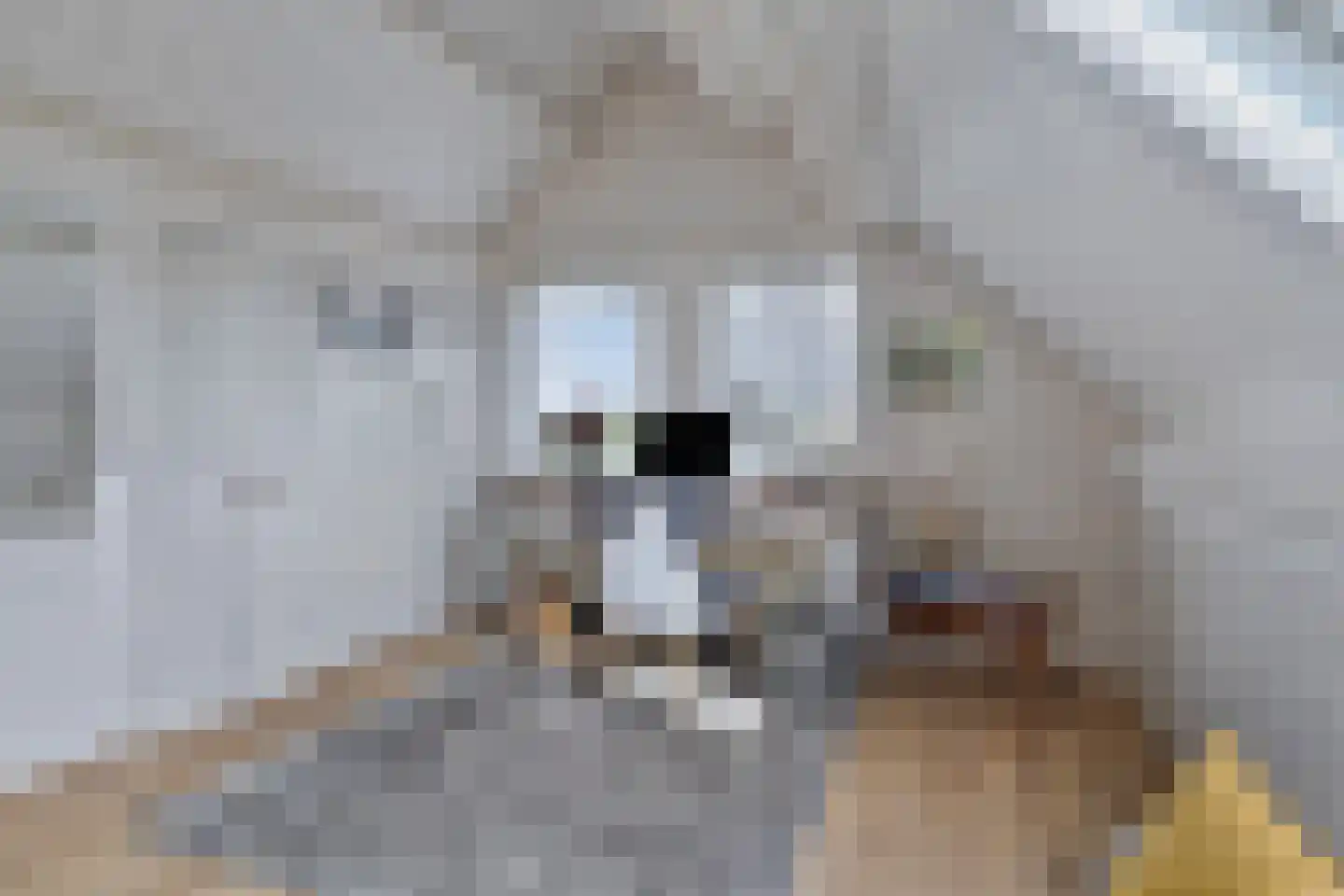 Badhuisweg 15 Warder thumbnail 27