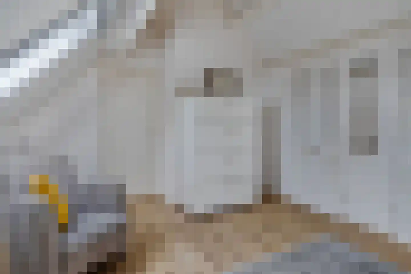 Badhuisweg 15 Warder thumbnail 28