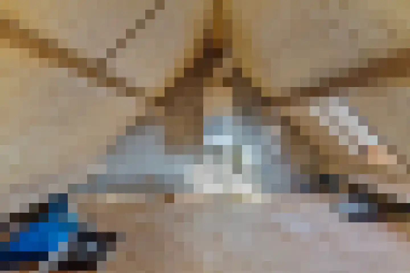 Badhuisweg 15 Warder thumbnail 33