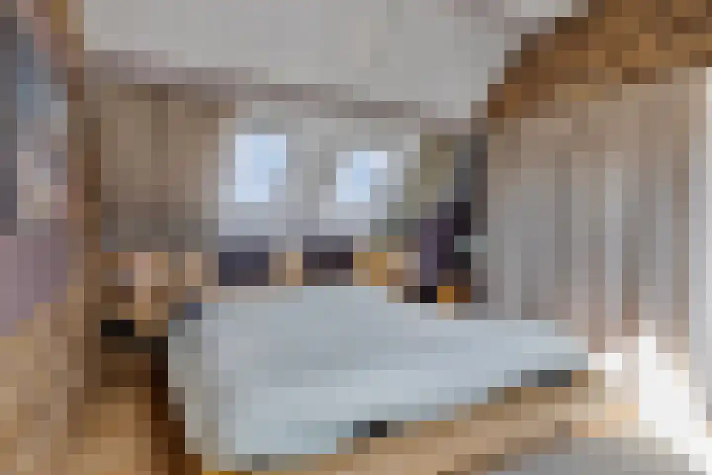Badhuisweg 15 Warder thumbnail 6