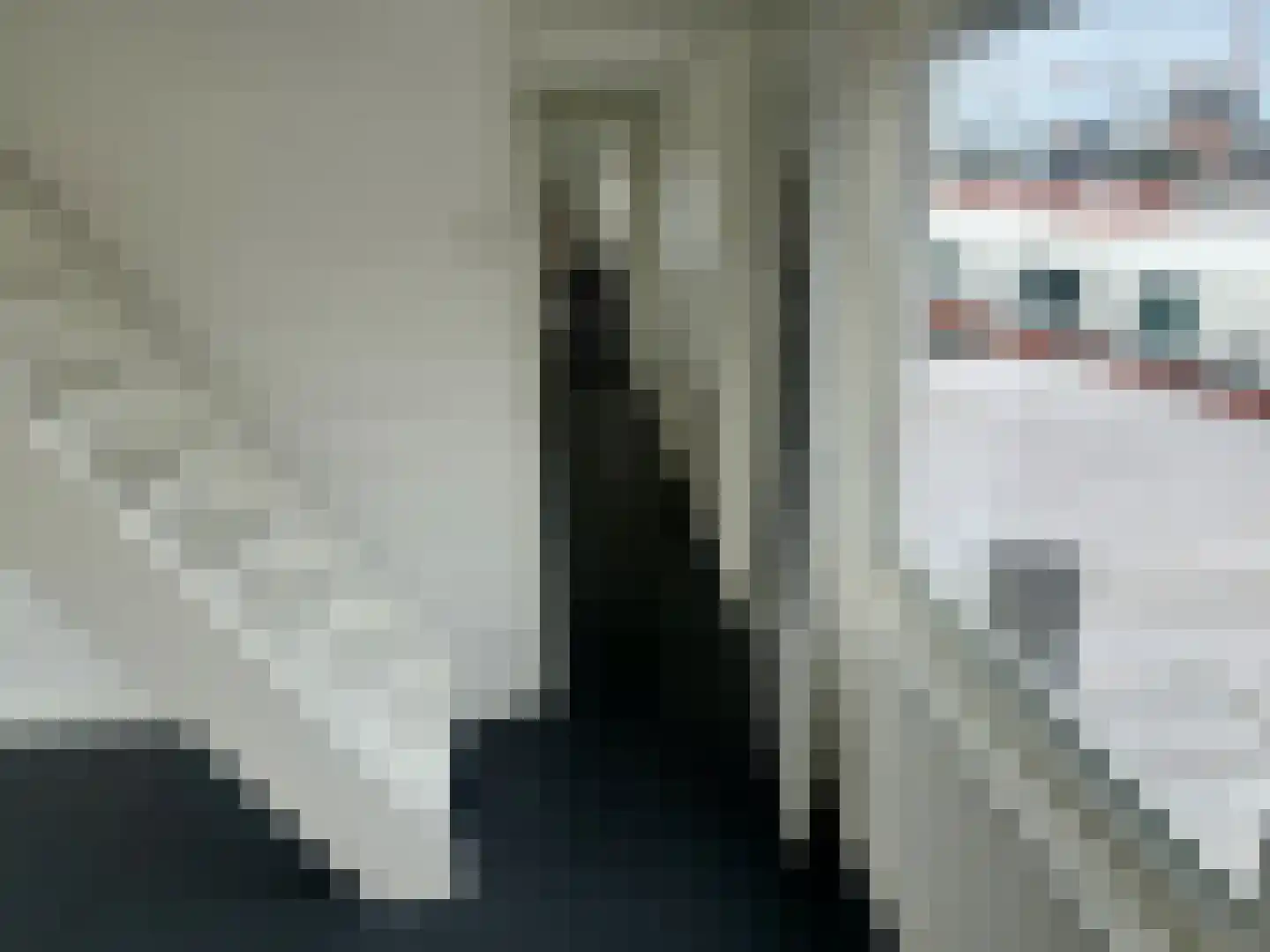 Badhuisweg 150 Zaandam thumbnail 13
