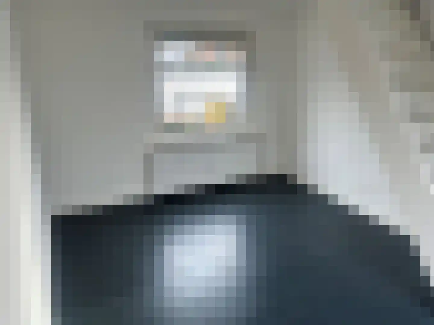 Badhuisweg 150 Zaandam thumbnail 15