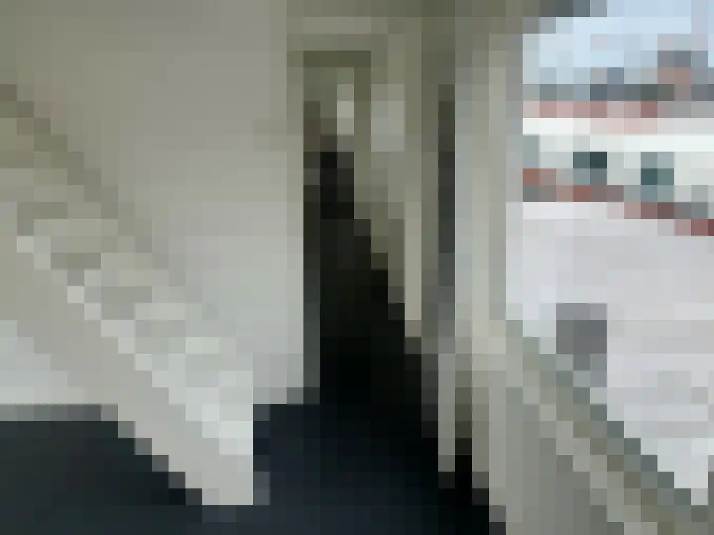 Badhuisweg 150 Zaandam thumbnail 5