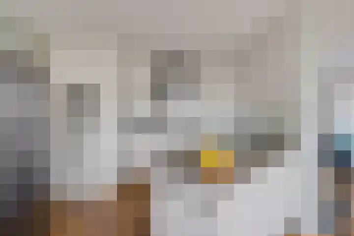 Badhuisweg 2 Boskoop thumbnail 10