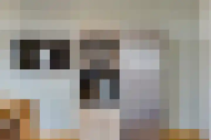 Badhuisweg 2 Boskoop thumbnail 12