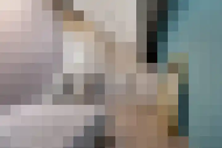 Badhuisweg 2 Boskoop thumbnail 16