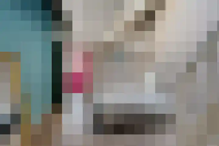 Badhuisweg 2 Boskoop thumbnail 17