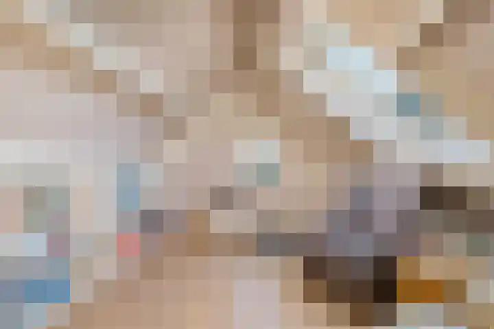 Badhuisweg 2 Boskoop thumbnail 35
