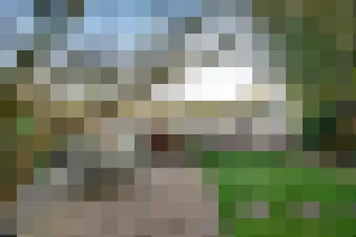 Badhuisweg 2 Boskoop thumbnail 39