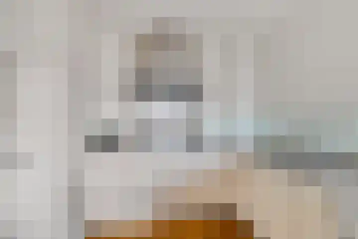 Badhuisweg 2 Boskoop thumbnail 9