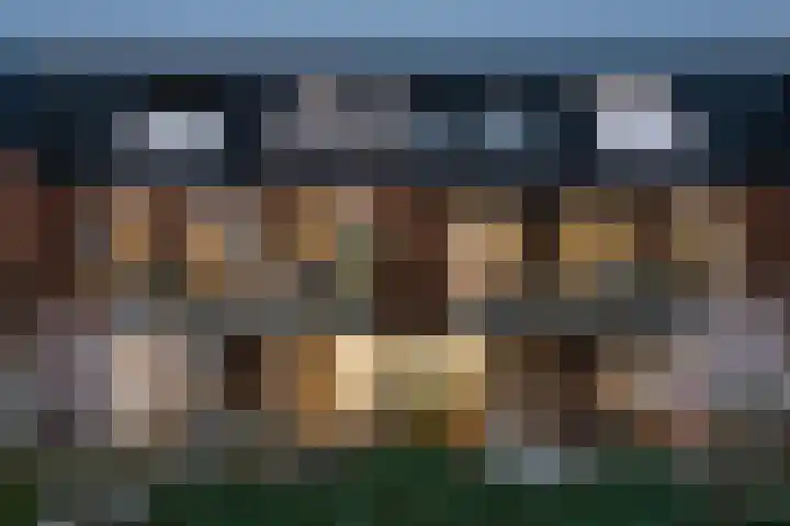 Badhuisweg 20 Heiloo thumbnail 4