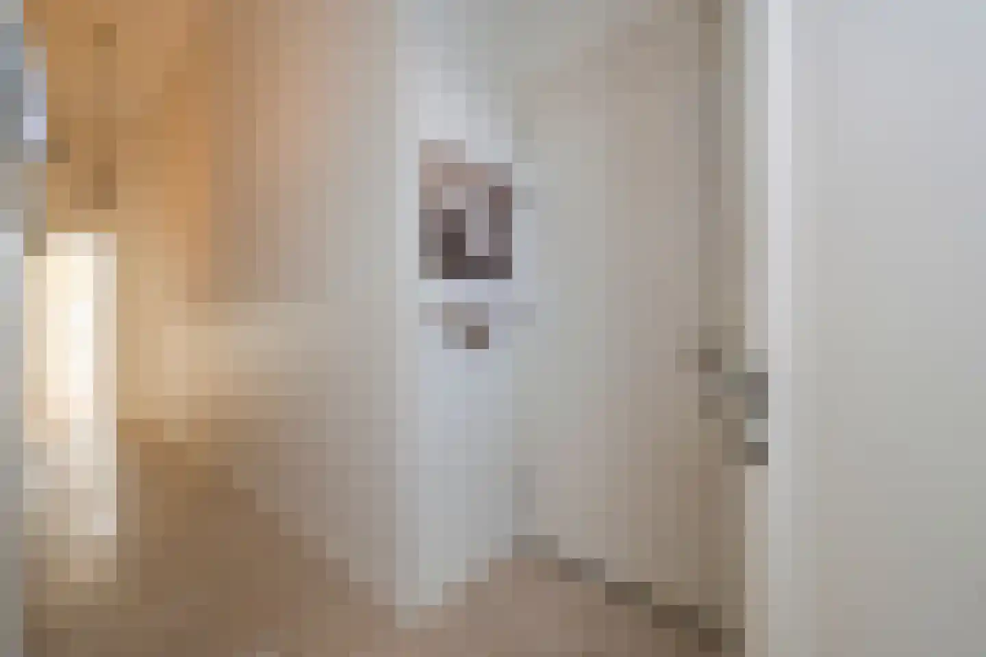 Badhuisweg 203 A Den Haag thumbnail 14