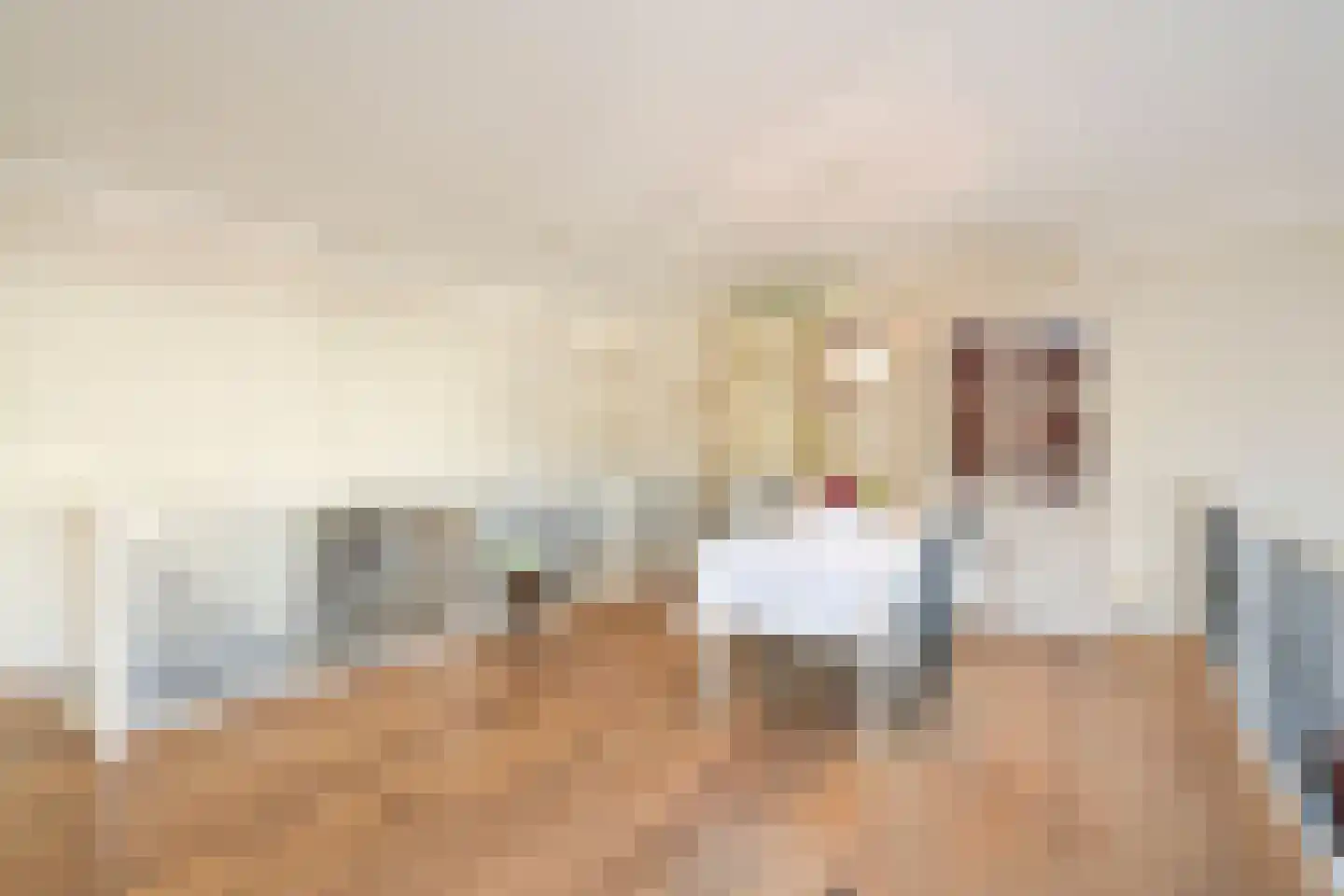 Badhuisweg 203 A Den Haag thumbnail 9