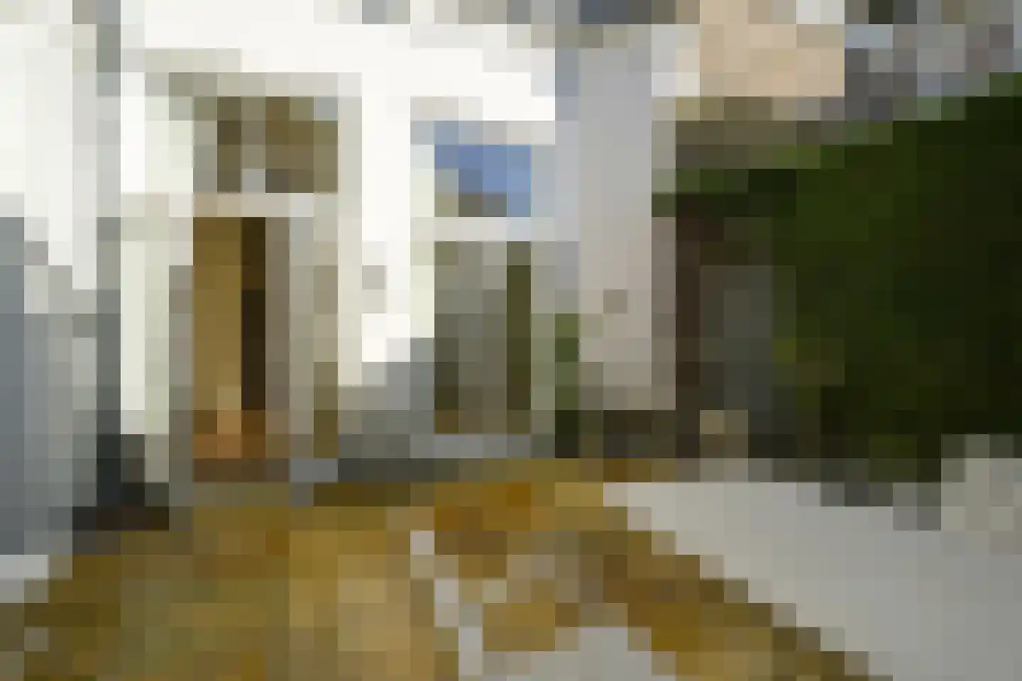 Badhuisweg 203 B Den Haag thumbnail 29