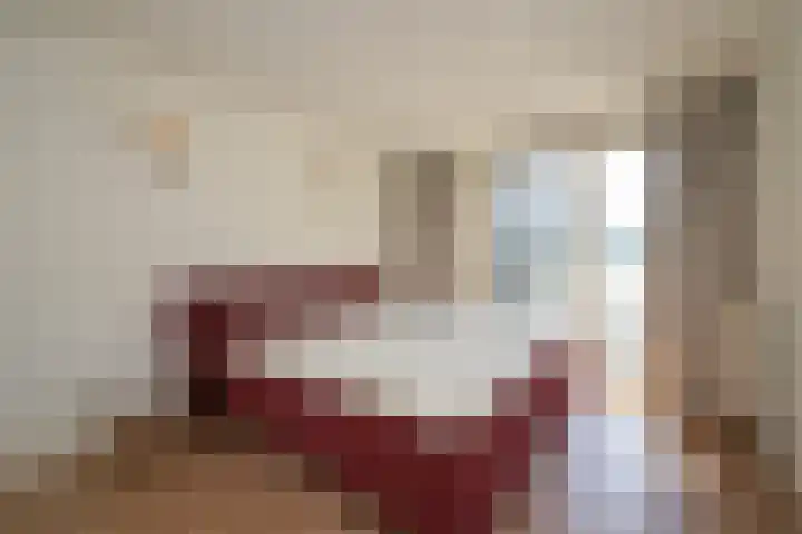 Badhuisweg 203 D Den Haag thumbnail 12