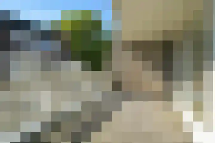 Badhuisweg 203 D Den Haag thumbnail 13