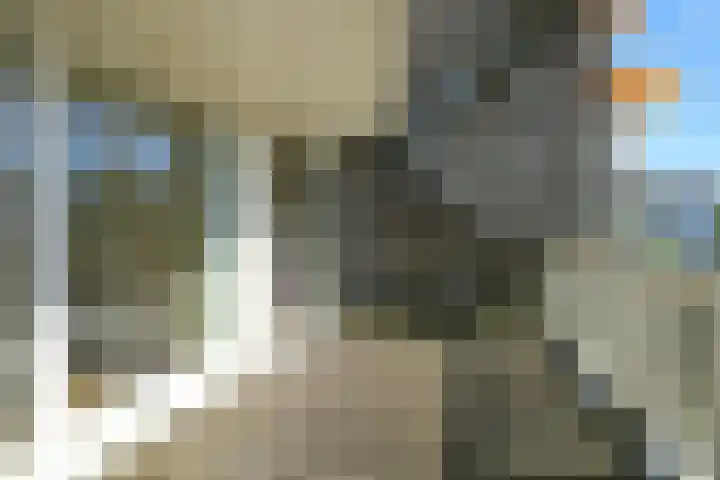 Badhuisweg 203 D Den Haag thumbnail 14