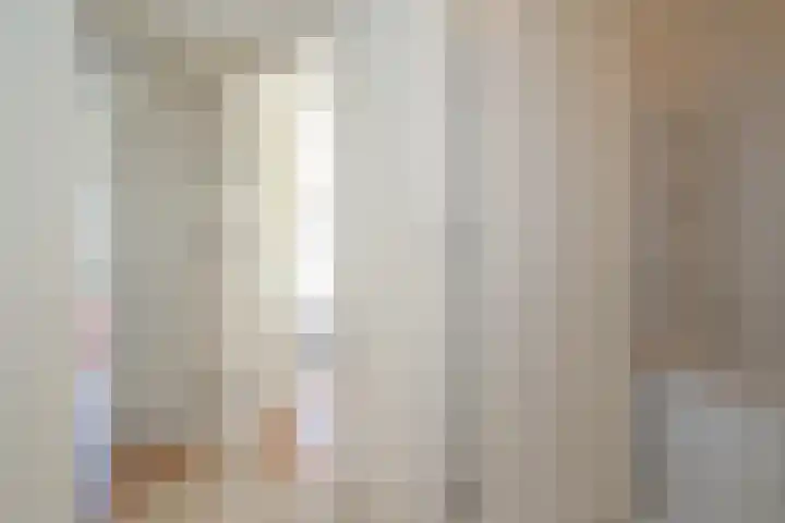 Badhuisweg 203 D Den Haag thumbnail 17