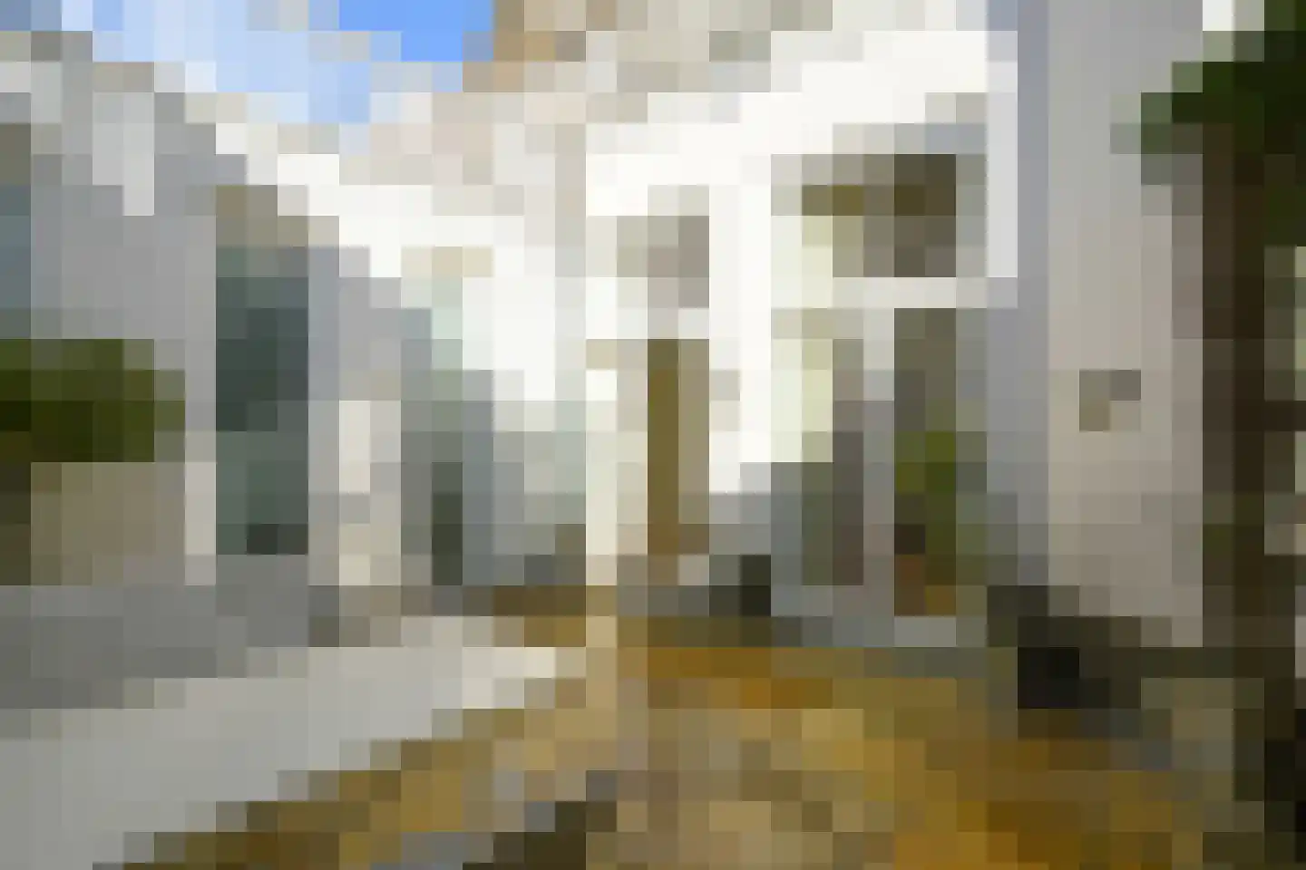 Badhuisweg 203 F Den Haag thumbnail 25