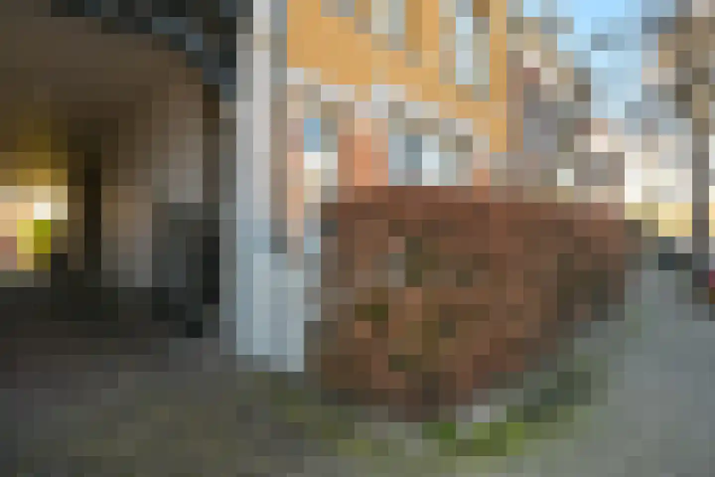 Badhuisweg 203 F Den Haag thumbnail 29