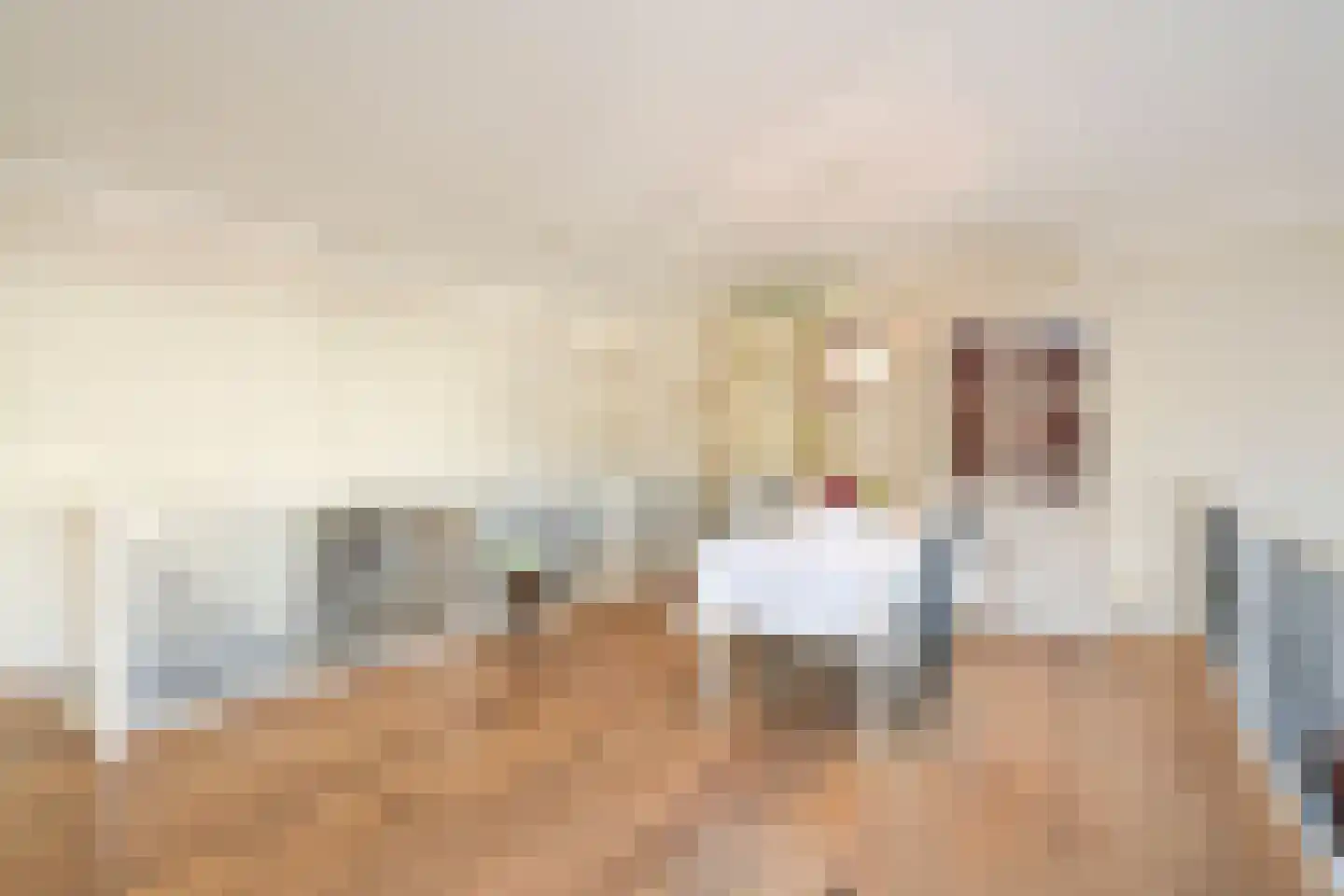 Badhuisweg 203 F Den Haag thumbnail 9