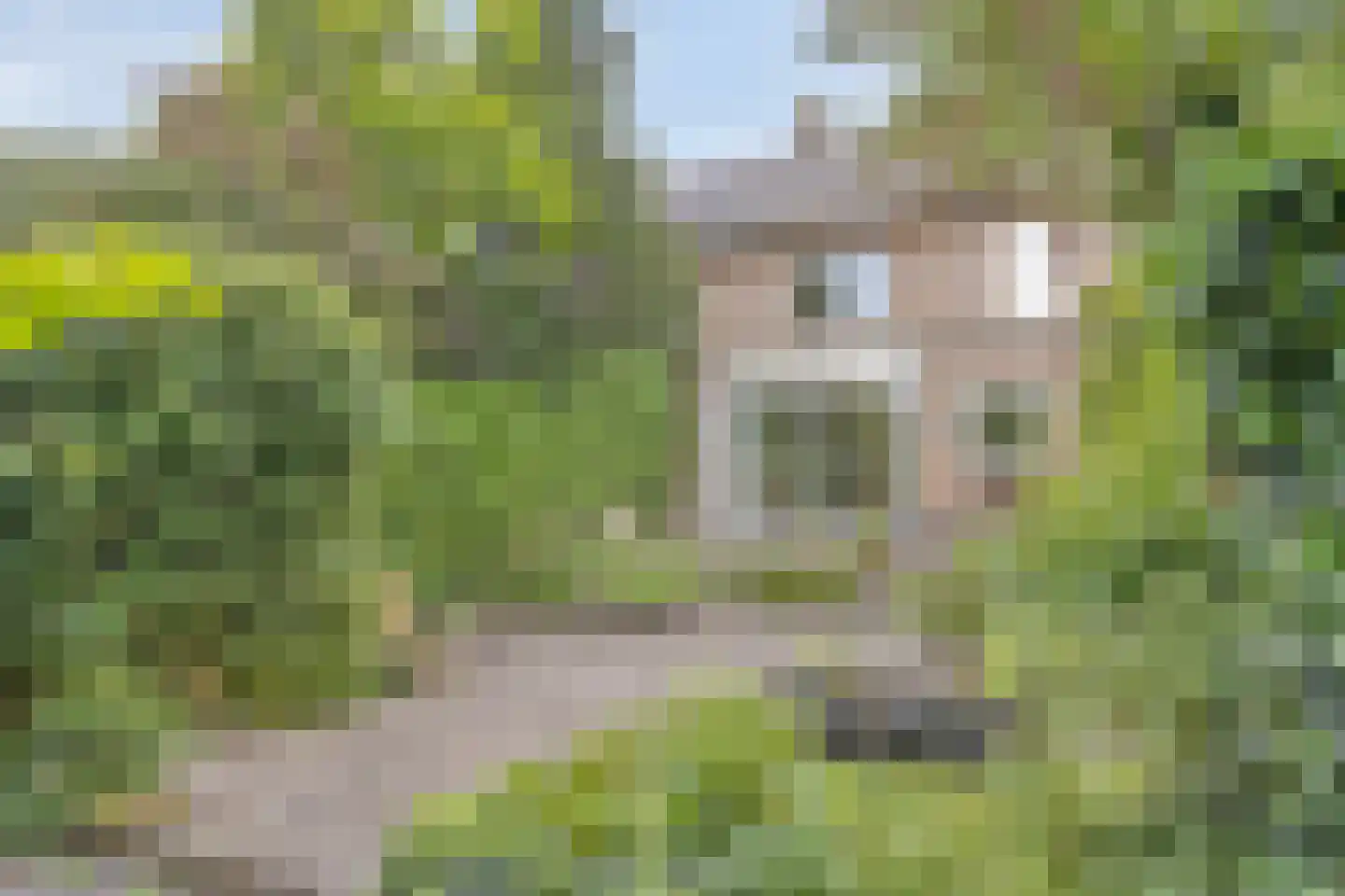 Badhuisweg 21 Zutphen thumbnail 49