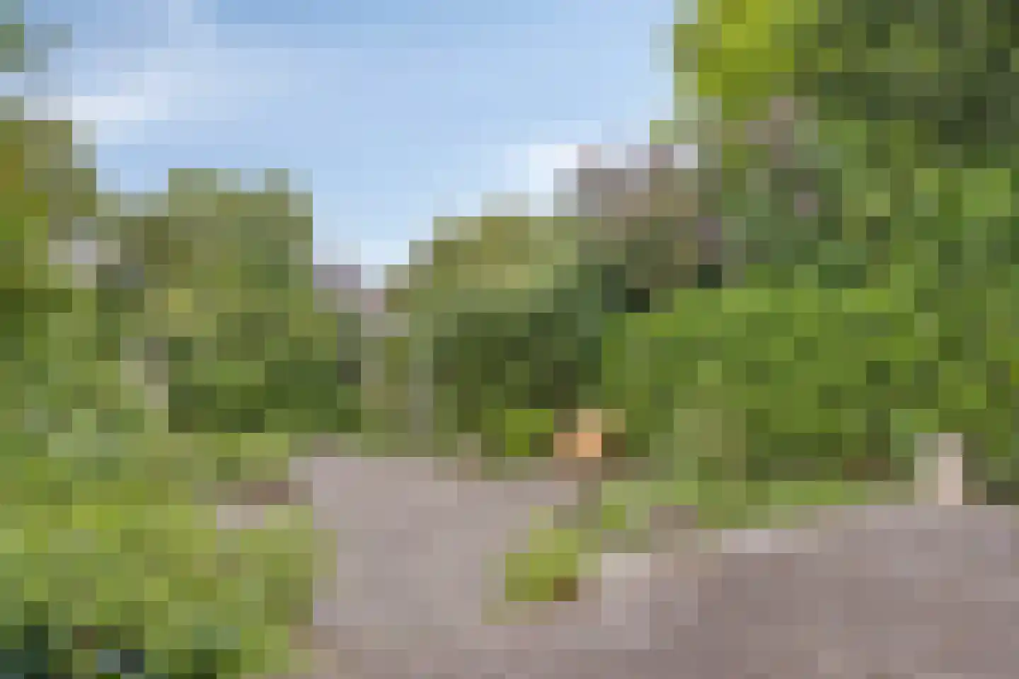 Badhuisweg 21 Zutphen thumbnail 52