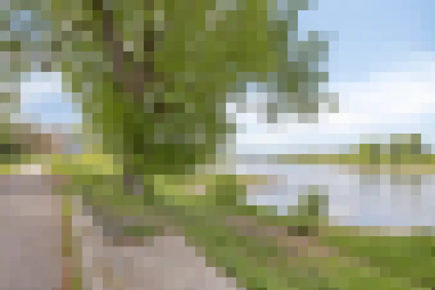 Badhuisweg 21 Zutphen thumbnail 55