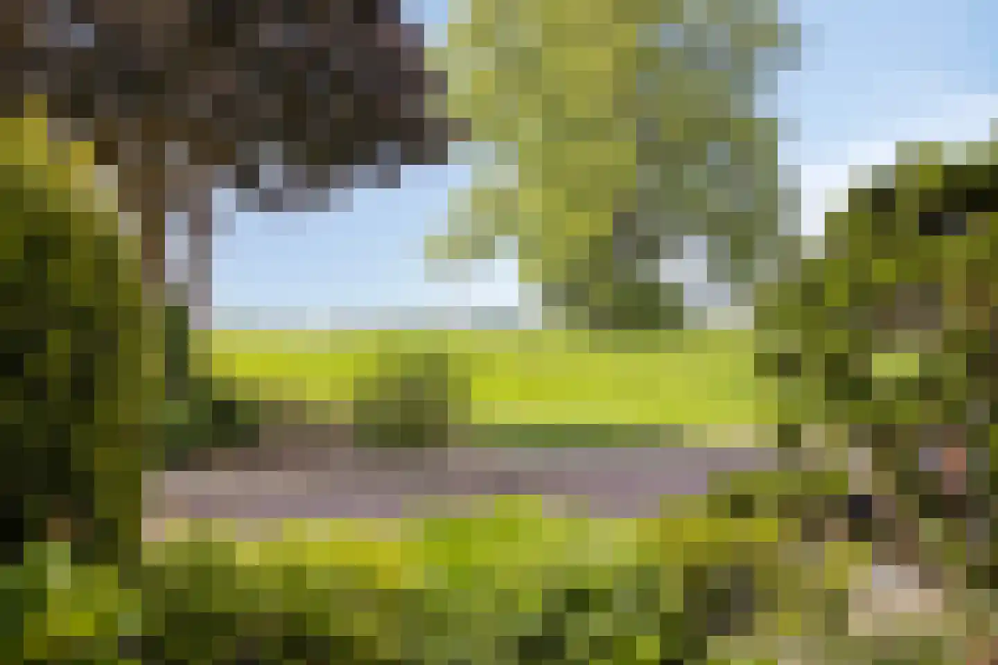 Badhuisweg 21 Zutphen thumbnail 57