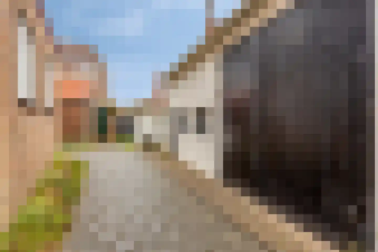Badhuisweg 24 Domburg thumbnail 20