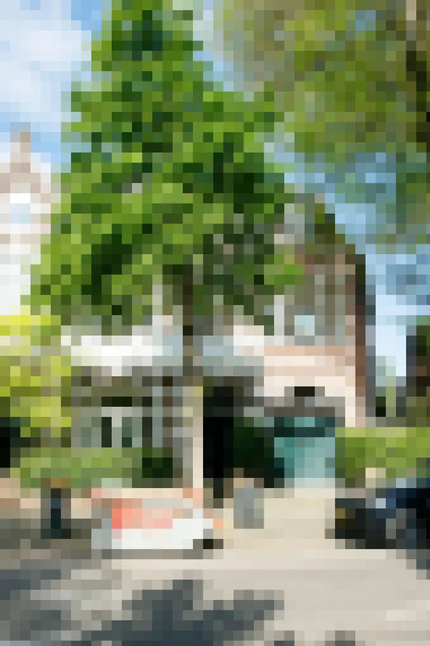 Badhuisweg 245 in Den Haag