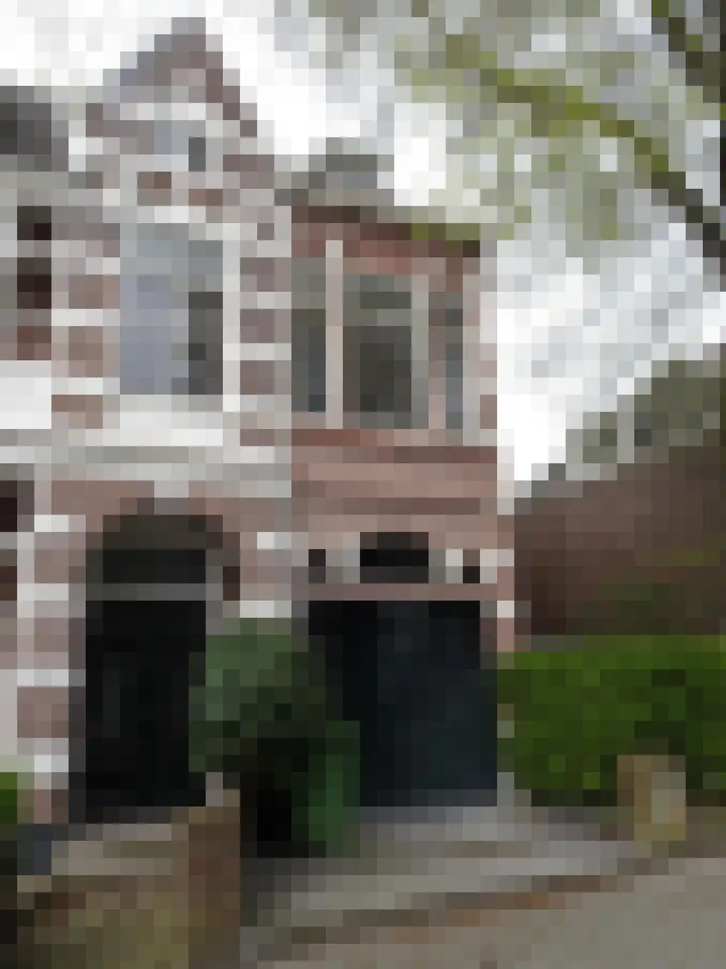 Badhuisweg 245 Den Haag