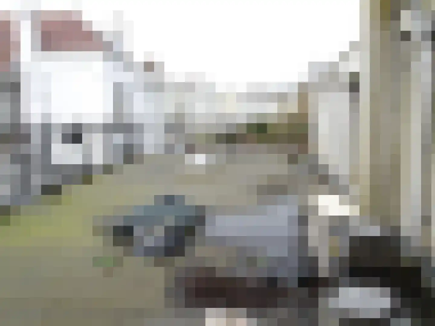 Badhuisweg 245 Den Haag thumbnail 10